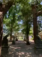 諏訪神社(千葉県)