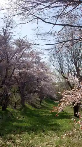 相馬神社の自然