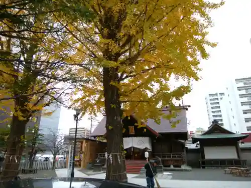 北海道神宮頓宮の自然