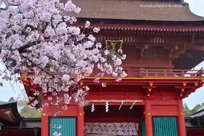 富士山本宮浅間大社(静岡県)