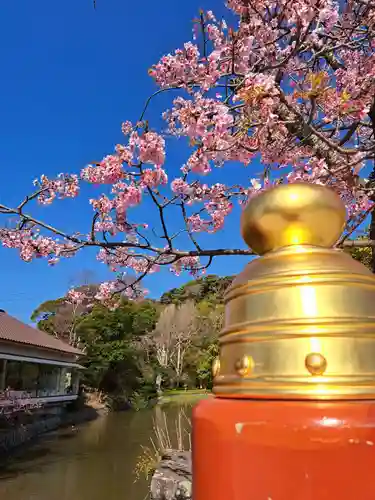鶴岡八幡宮(神奈川県)