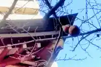 秋葉神社(東京都)