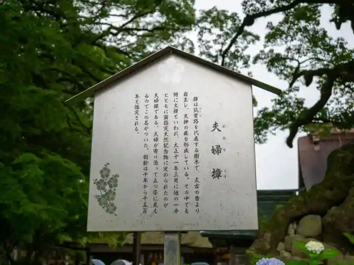 太宰府天満宮(福岡県)