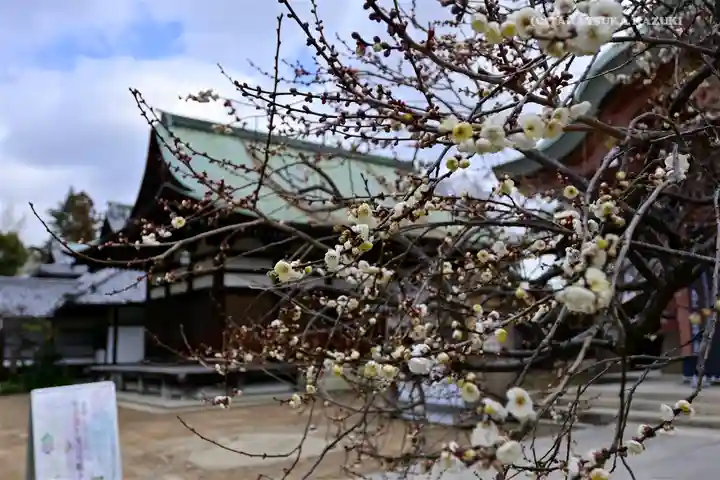 北野天満宮の自然