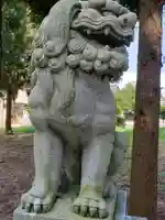 白山比咩神社の狛犬