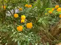 全龍寺(神奈川県)