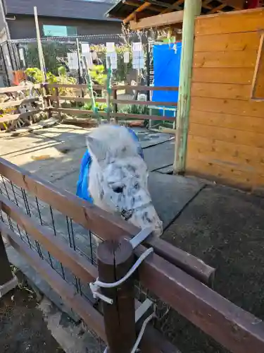 五方山熊野神社の{uncategorized: "未分類", other: "その他", undefined: "問題あり", building: "その他建物", grave: "お墓", sacred_gate: "鳥居", guardian: "狛犬", statue: "像", buddha: "仏像", history: "歴史", nature: "自然", garden: "庭園", animal: "動物", pagoda: "塔", temizu: "手水舎", mountain_gate: "山門・神門", sanctuary: "本殿・本堂", subordinate: "末社・摂社", art: "芸術", scenery: "景色", jizo: "地蔵", ema: "絵馬", goshuin: "御朱印", omikuji: "おみくじ", items: "授与品その他", amulet: "お守り", goshuincho: "御朱印帳", eats: "食事", festival: "お祭り", votive_dance: "神楽", shichigosan: "七五三参", wedding: "結婚式", experience: "体験その他", initially: "初詣", around: "周辺", anti_infection: "感染症対策"}
