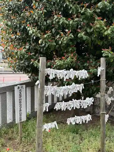 三保杉山神社(神奈川県)
