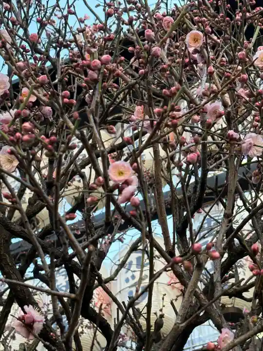 眞性寺(東京都)