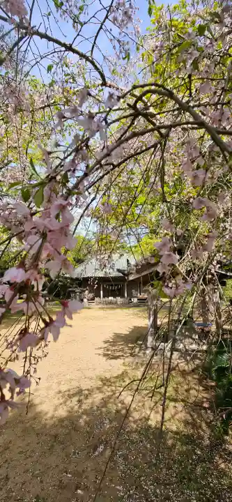 海上八幡宮の{uncategorized: "未分類", other: "その他", undefined: "問題あり", building: "その他建物", grave: "お墓", sacred_gate: "鳥居", guardian: "狛犬", statue: "像", buddha: "仏像", history: "歴史", nature: "自然", garden: "庭園", animal: "動物", pagoda: "塔", temizu: "手水舎", mountain_gate: "山門・神門", sanctuary: "本殿・本堂", subordinate: "末社・摂社", art: "芸術", scenery: "景色", jizo: "地蔵", ema: "絵馬", goshuin: "御朱印", omikuji: "おみくじ", items: "授与品その他", amulet: "お守り", goshuincho: "御朱印帳", eats: "食事", festival: "お祭り", votive_dance: "神楽", shichigosan: "七五三参", wedding: "結婚式", experience: "体験その他", initially: "初詣", around: "周辺", anti_infection: "感染症対策"}