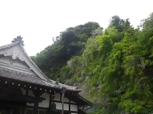 大寳寺の自然