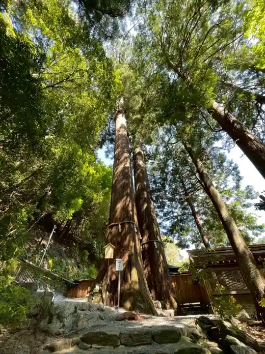 丹生川上神社(中社)の{uncategorized: "未分類", other: "その他", undefined: "問題あり", building: "その他建物", grave: "お墓", sacred_gate: "鳥居", guardian: "狛犬", statue: "像", buddha: "仏像", history: "歴史", nature: "自然", garden: "庭園", animal: "動物", pagoda: "塔", temizu: "手水舎", mountain_gate: "山門・神門", sanctuary: "本殿・本堂", subordinate: "末社・摂社", art: "芸術", scenery: "景色", jizo: "地蔵", ema: "絵馬", goshuin: "御朱印", omikuji: "おみくじ", items: "授与品その他", amulet: "お守り", goshuincho: "御朱印帳", eats: "食事", festival: "お祭り", votive_dance: "神楽", shichigosan: "七五三参", wedding: "結婚式", experience: "体験その他", initially: "初詣", around: "周辺", anti_infection: "感染症対策"}