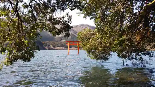 九頭龍神社本宮の鳥居