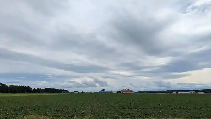 出雲神社の景色