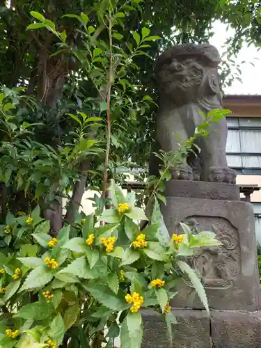 鷺宮八幡神社の狛犬