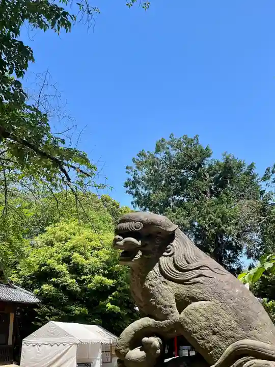 中山神社(埼玉県)