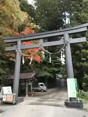 戸隠神社中社の鳥居