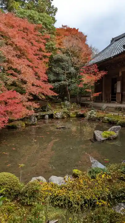 蓮華寺(洛北蓮華寺)(京都府)