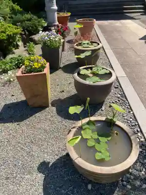 龍源寺(神奈川県)