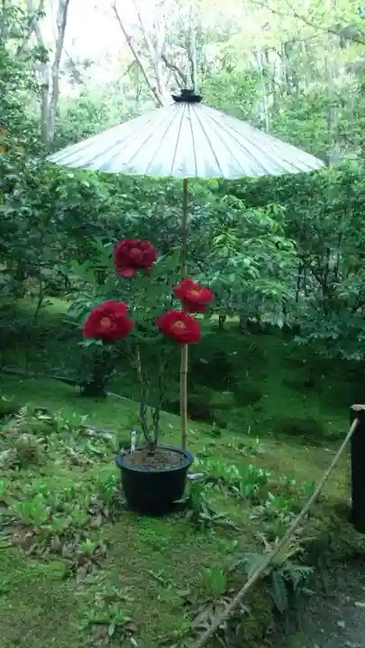 祇王寺(京都府)