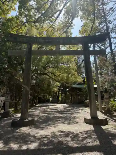 六所神社の{uncategorized: "未分類", other: "その他", undefined: "問題あり", building: "その他建物", grave: "お墓", sacred_gate: "鳥居", guardian: "狛犬", statue: "像", buddha: "仏像", history: "歴史", nature: "自然", garden: "庭園", animal: "動物", pagoda: "塔", temizu: "手水舎", mountain_gate: "山門・神門", sanctuary: "本殿・本堂", subordinate: "末社・摂社", art: "芸術", scenery: "景色", jizo: "地蔵", ema: "絵馬", goshuin: "御朱印", omikuji: "おみくじ", items: "授与品その他", amulet: "お守り", goshuincho: "御朱印帳", eats: "食事", festival: "お祭り", votive_dance: "神楽", shichigosan: "七五三参", wedding: "結婚式", experience: "体験その他", initially: "初詣", around: "周辺", anti_infection: "感染症対策"}