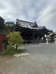 金蔵寺(千葉県)