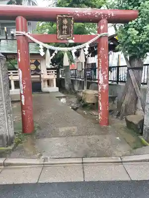 椿神社(東京都)