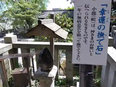毛谷黒龍神社(福井県)