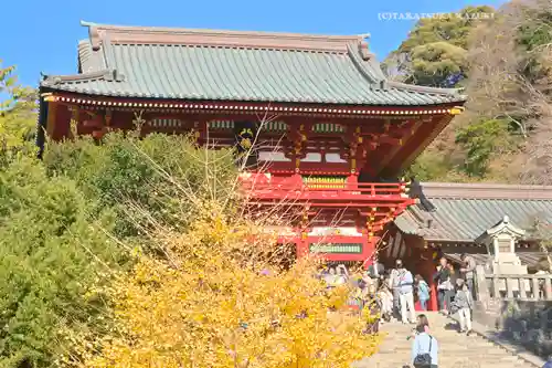 鶴岡八幡宮(神奈川県)
