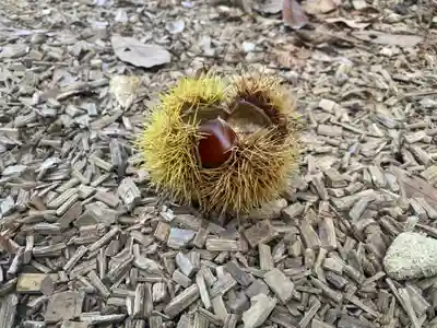 気多神社(富山県)
