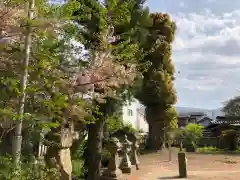 鴨島八幡神社(徳島県)