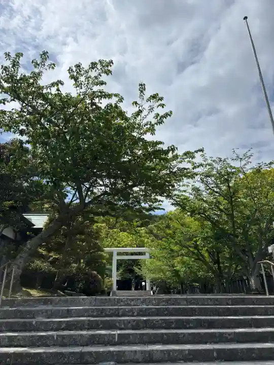 安房神社の{uncategorized: "未分類", other: "その他", undefined: "問題あり", building: "その他建物", grave: "お墓", sacred_gate: "鳥居", guardian: "狛犬", statue: "像", buddha: "仏像", history: "歴史", nature: "自然", garden: "庭園", animal: "動物", pagoda: "塔", temizu: "手水舎", mountain_gate: "山門・神門", sanctuary: "本殿・本堂", subordinate: "末社・摂社", art: "芸術", scenery: "景色", jizo: "地蔵", ema: "絵馬", goshuin: "御朱印", omikuji: "おみくじ", items: "授与品その他", amulet: "お守り", goshuincho: "御朱印帳", eats: "食事", festival: "お祭り", votive_dance: "神楽", shichigosan: "七五三参", wedding: "結婚式", experience: "体験その他", initially: "初詣", around: "周辺", anti_infection: "感染症対策"}