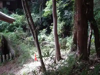 武州白子熊野神社(埼玉県)