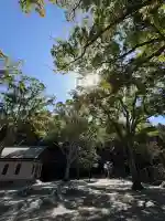 安房神社の{uncategorized: "未分類", other: "その他", undefined: "問題あり", building: "その他建物", grave: "お墓", sacred_gate: "鳥居", guardian: "狛犬", statue: "像", buddha: "仏像", history: "歴史", nature: "自然", garden: "庭園", animal: "動物", pagoda: "塔", temizu: "手水舎", mountain_gate: "山門・神門", sanctuary: "本殿・本堂", subordinate: "末社・摂社", art: "芸術", scenery: "景色", jizo: "地蔵", ema: "絵馬", goshuin: "御朱印", omikuji: "おみくじ", items: "授与品その他", amulet: "お守り", goshuincho: "御朱印帳", eats: "食事", festival: "お祭り", votive_dance: "神楽", shichigosan: "七五三参", wedding: "結婚式", experience: "体験その他", initially: "初詣", around: "周辺", anti_infection: "感染症対策"}