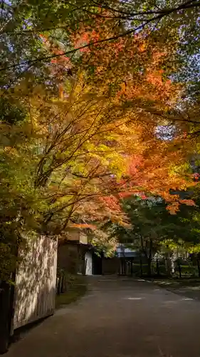 西明寺(京都府)