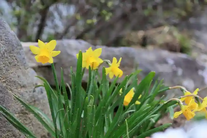 大鏑神社の庭園