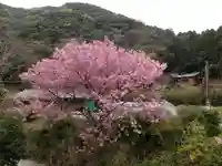 敷島神社の自然