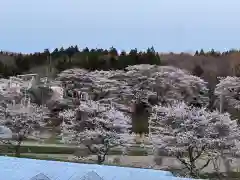 大宮温泉神社の自然