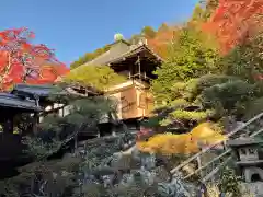 霊鑑寺門跡(京都府)