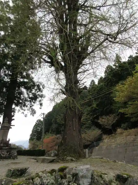杖杉庵(徳島県)