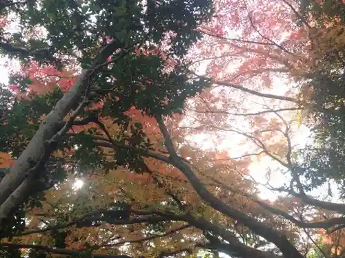 大正寺の庭園