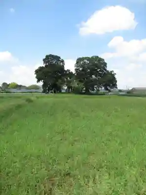 神明神社(千葉県)