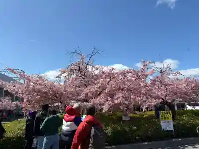 與杼神社の{uncategorized: "未分類", other: "その他", undefined: "問題あり", building: "その他建物", grave: "お墓", sacred_gate: "鳥居", guardian: "狛犬", statue: "像", buddha: "仏像", history: "歴史", nature: "自然", garden: "庭園", animal: "動物", pagoda: "塔", temizu: "手水舎", mountain_gate: "山門・神門", sanctuary: "本殿・本堂", subordinate: "末社・摂社", art: "芸術", scenery: "景色", jizo: "地蔵", ema: "絵馬", goshuin: "御朱印", omikuji: "おみくじ", items: "授与品その他", amulet: "お守り", goshuincho: "御朱印帳", eats: "食事", festival: "お祭り", votive_dance: "神楽", shichigosan: "七五三参", wedding: "結婚式", experience: "体験その他", initially: "初詣", around: "周辺", anti_infection: "感染症対策"}