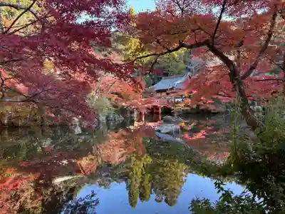 醍醐寺(京都府)