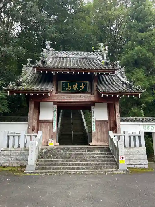 達磨寺(群馬県)