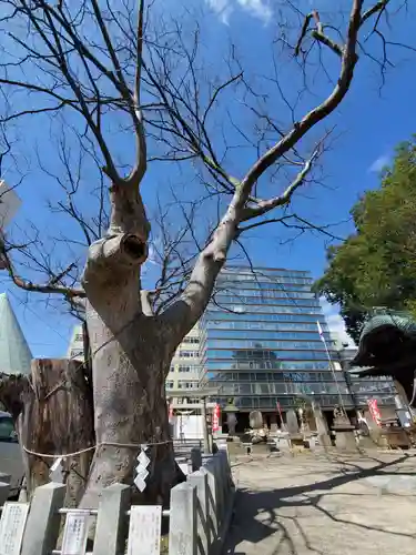 阿邪訶根神社の庭園