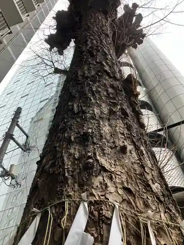 箒銀杏天満宮(東京都)