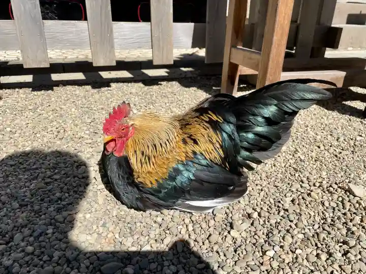 大崎八幡宮(宮城県)