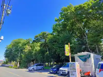 伊福部神社の自然