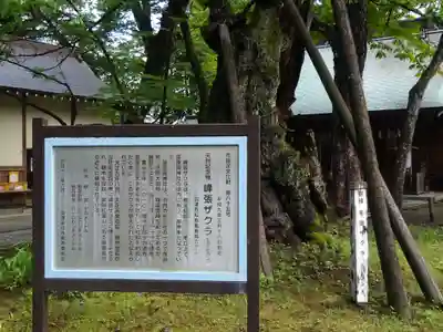 蠶養國神社の歴史